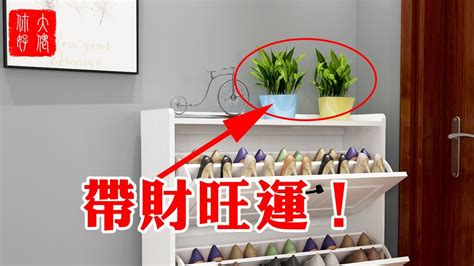 鞋櫃上放植物|門口鞋櫃上面放什麼植物好